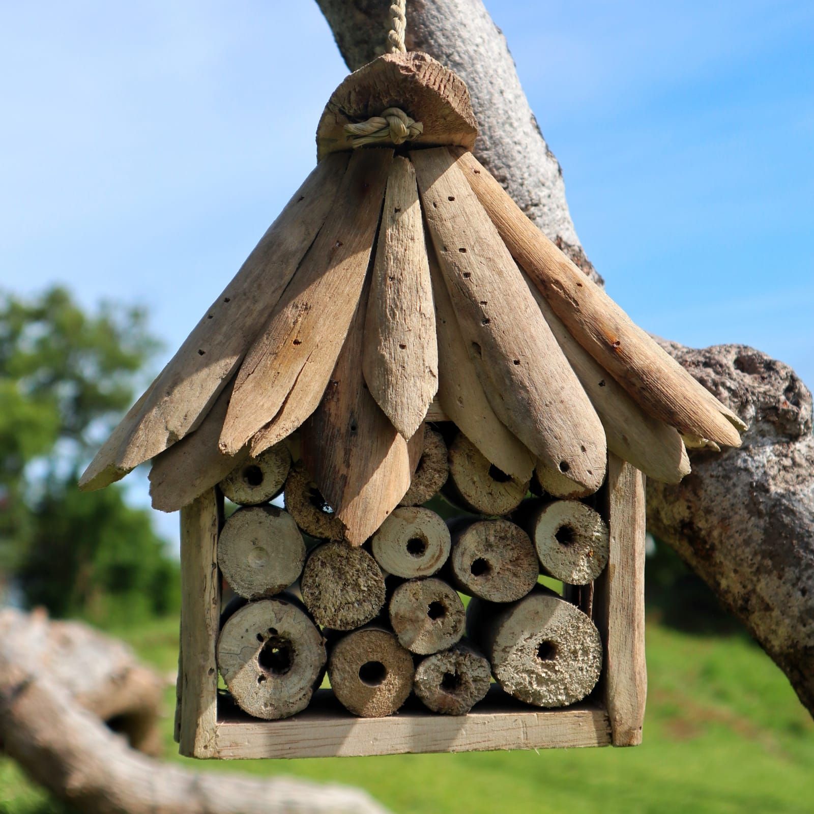 Bird Boxes and Bee & Insect Boxes