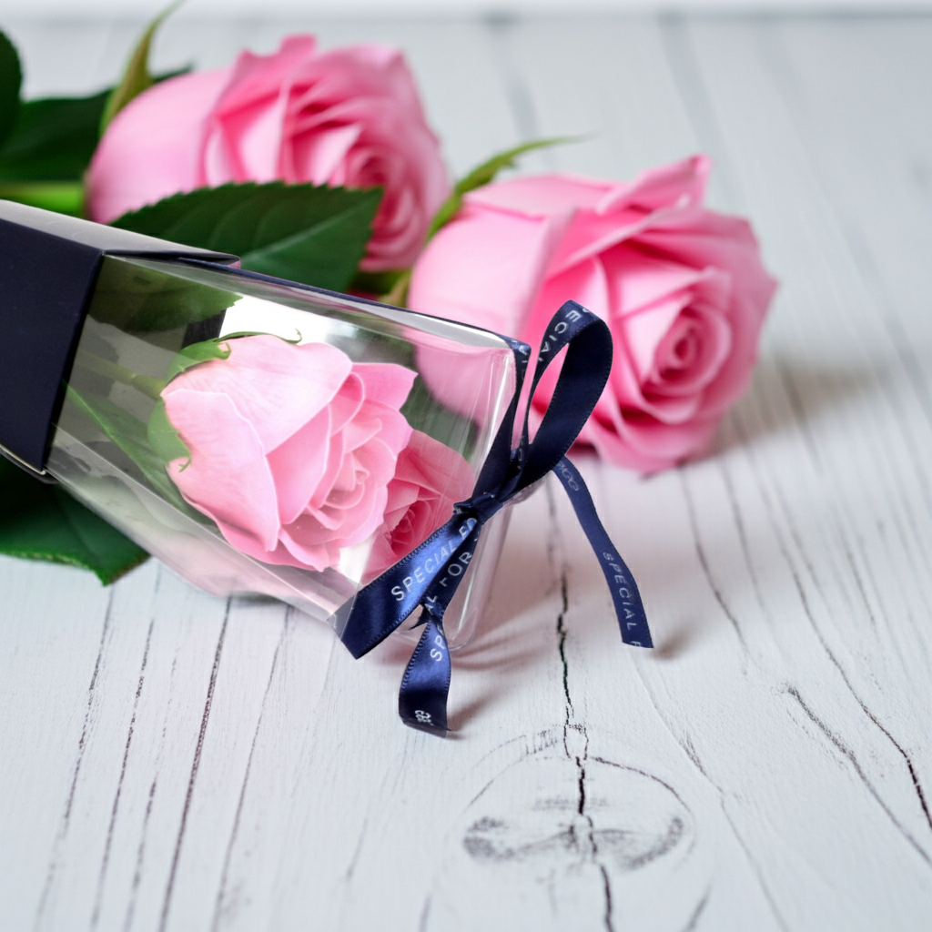 Single Rose - Pink Rose