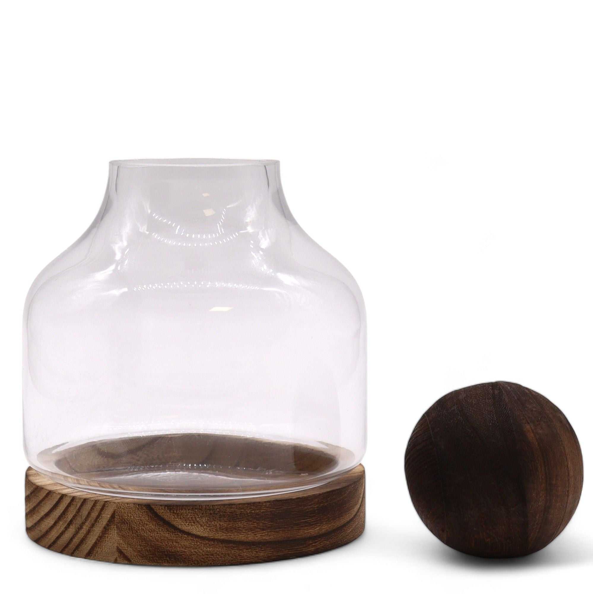 Medium Ball Top Terrarium on Dark Tung Wood