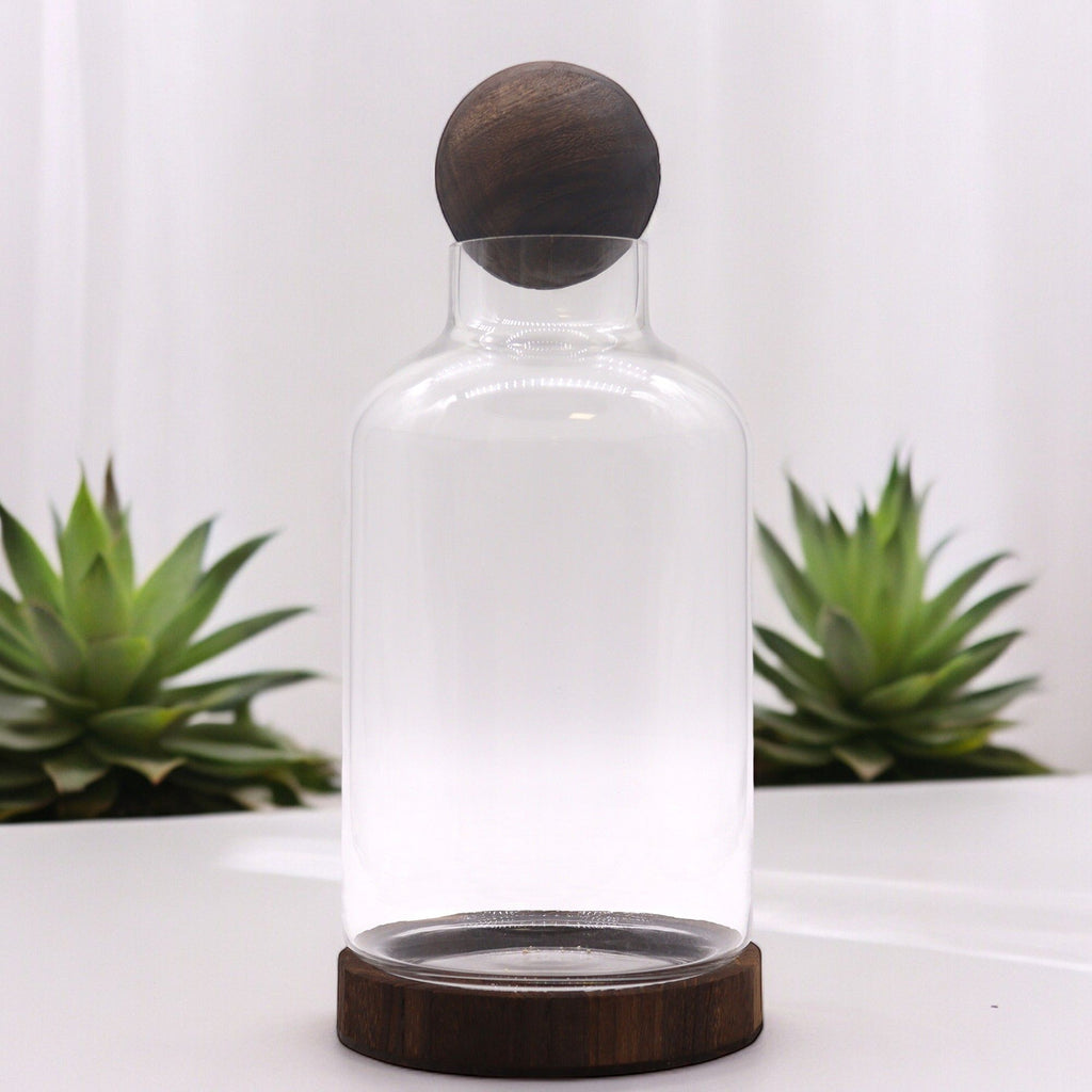 Large Ball Top Terrarium on Dark Tung Wood
