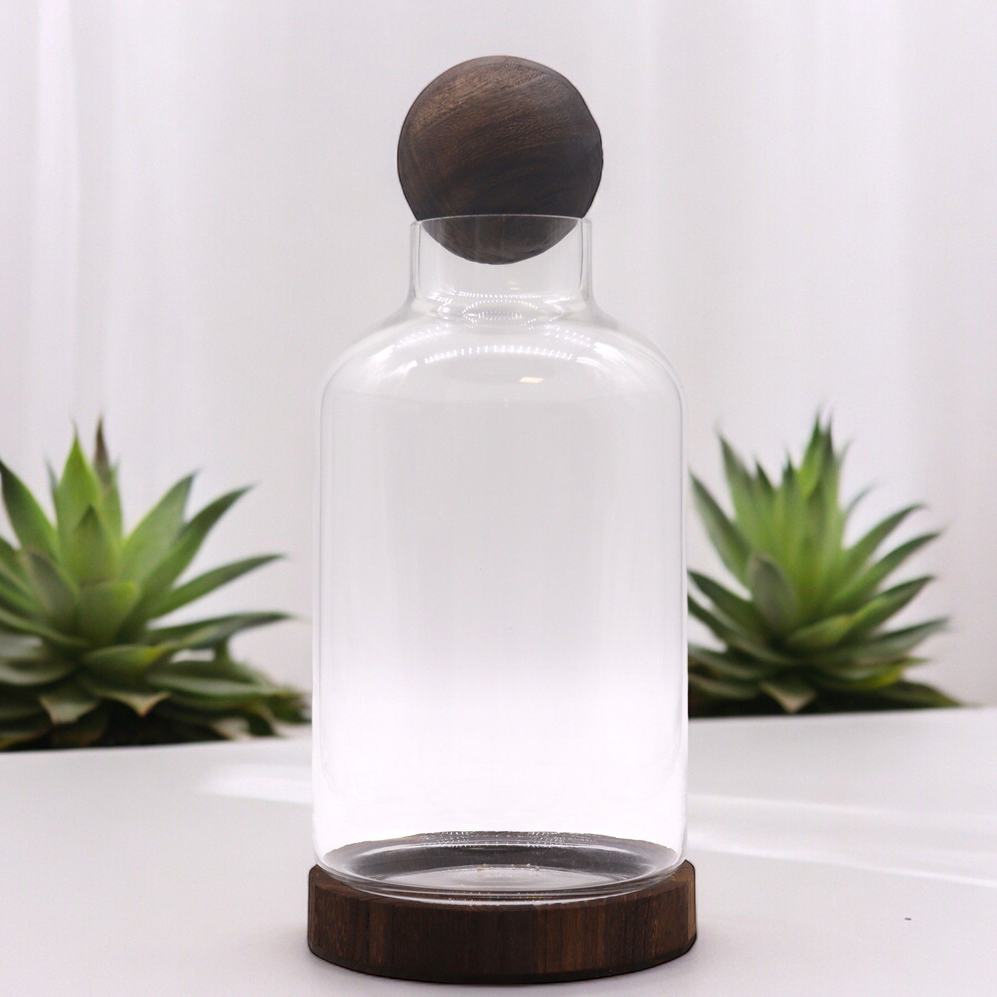 Large Ball Top Terrarium on Dark Tung Wood