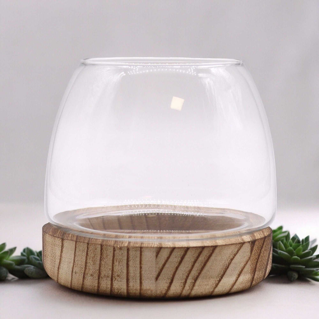 Small Terrarium on Natural Tung Wood