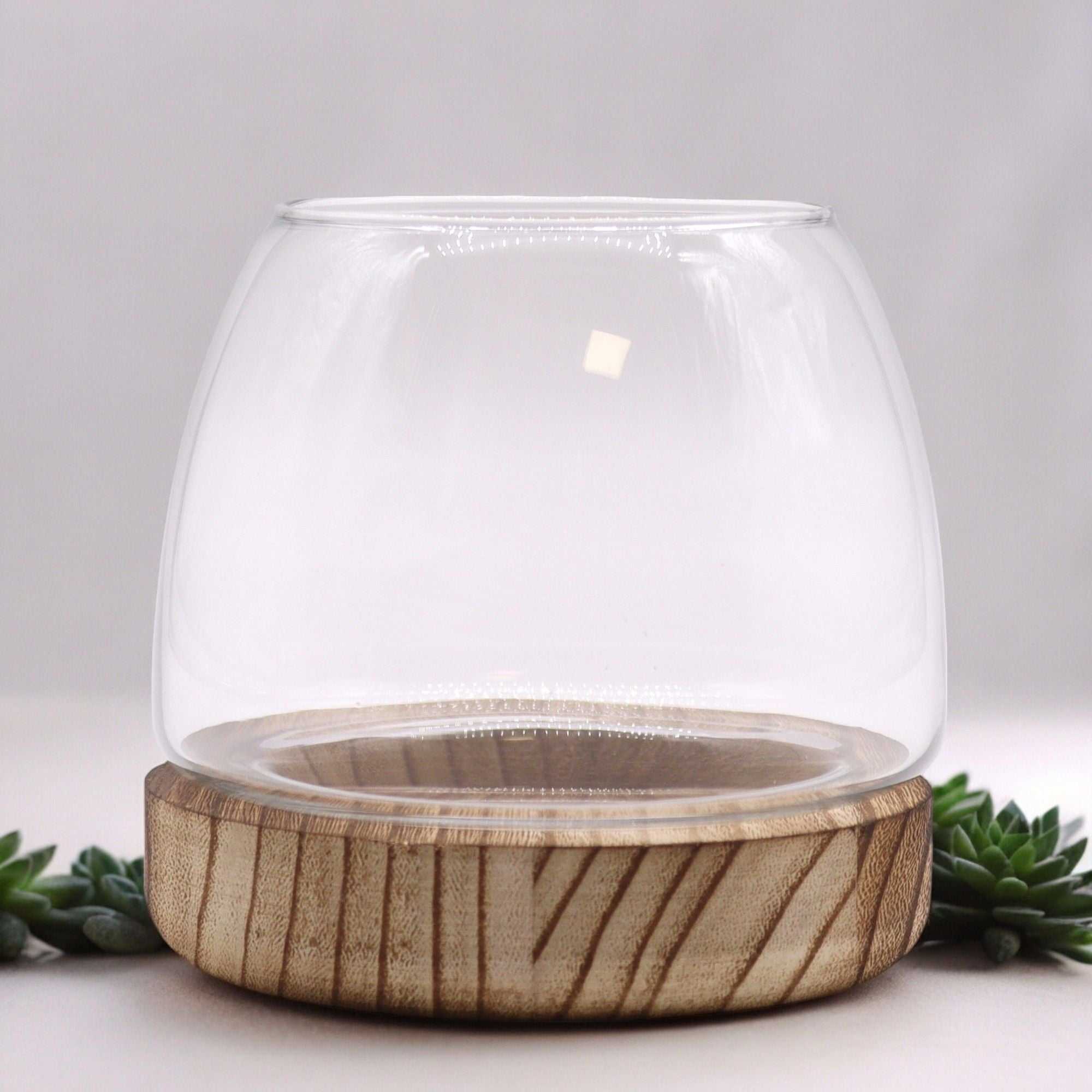 Small Terrarium on Natural Tung Wood