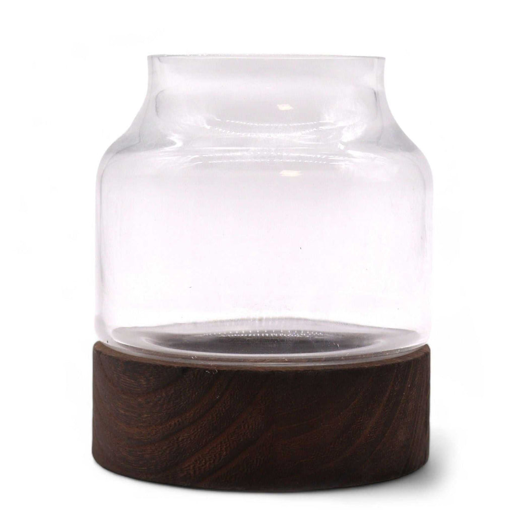 Small Shaped Terrarium on Dark Tung Wood