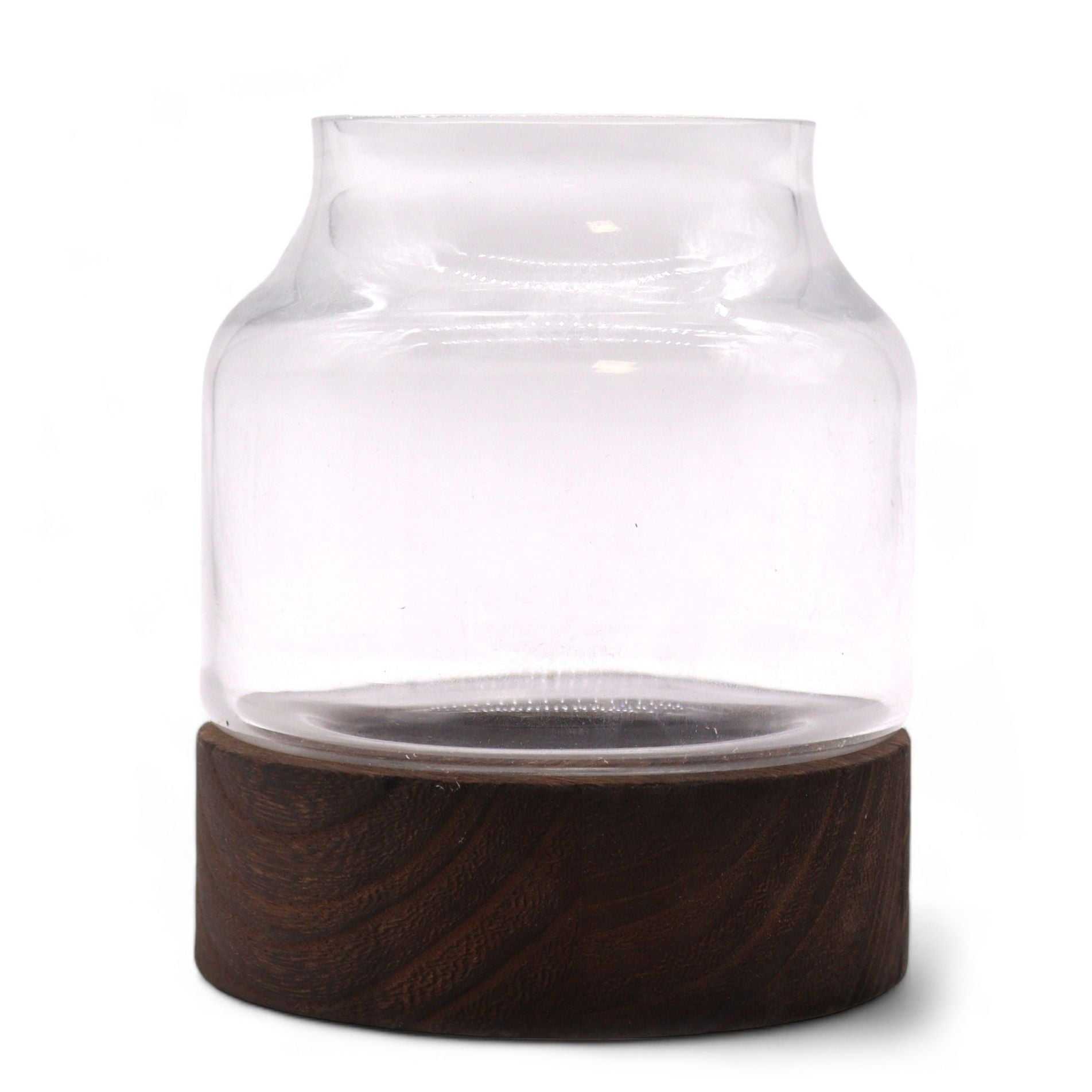 Small Shaped Terrarium on Dark Tung Wood