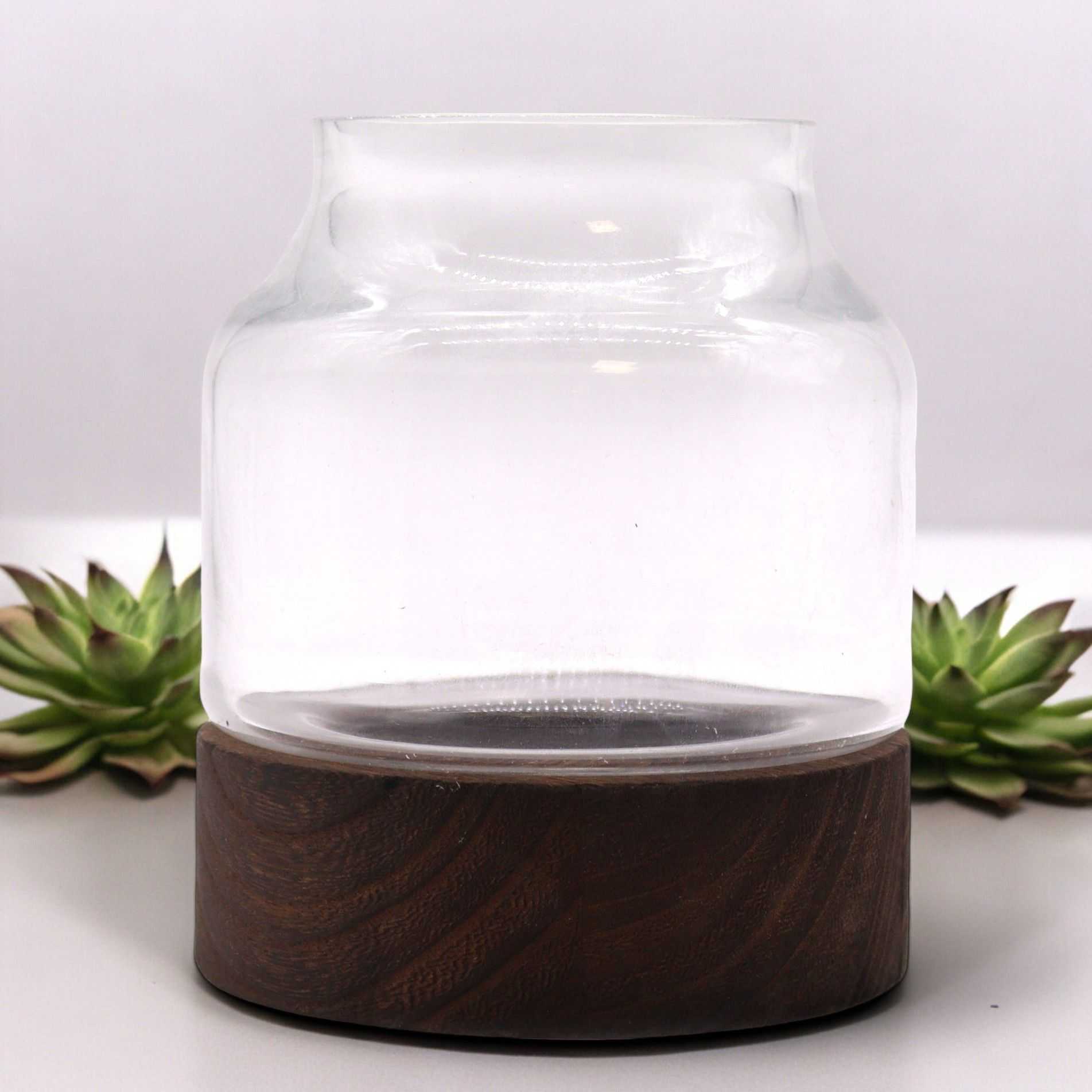 Small Shaped Terrarium on Dark Tung Wood