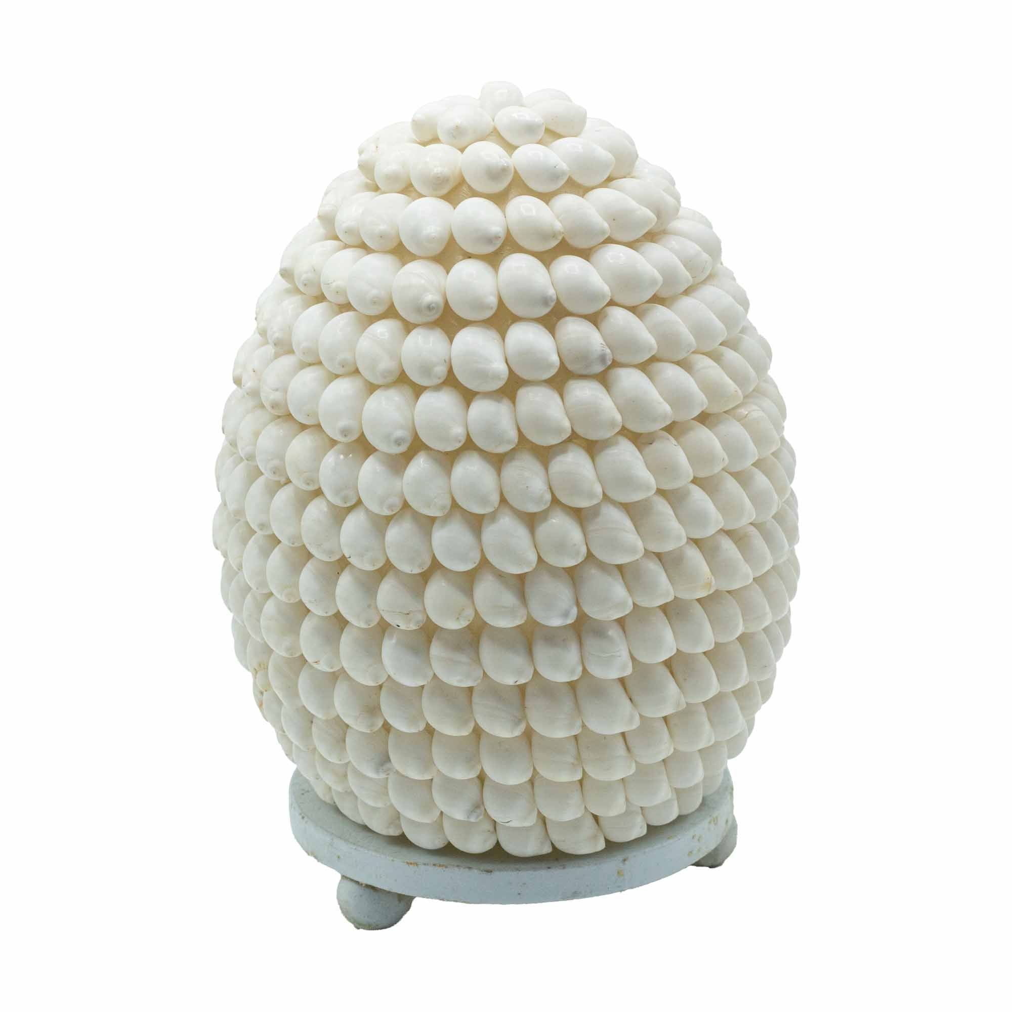 Boho Sea Shell Lamp - Buting Shell Oval - 15cm